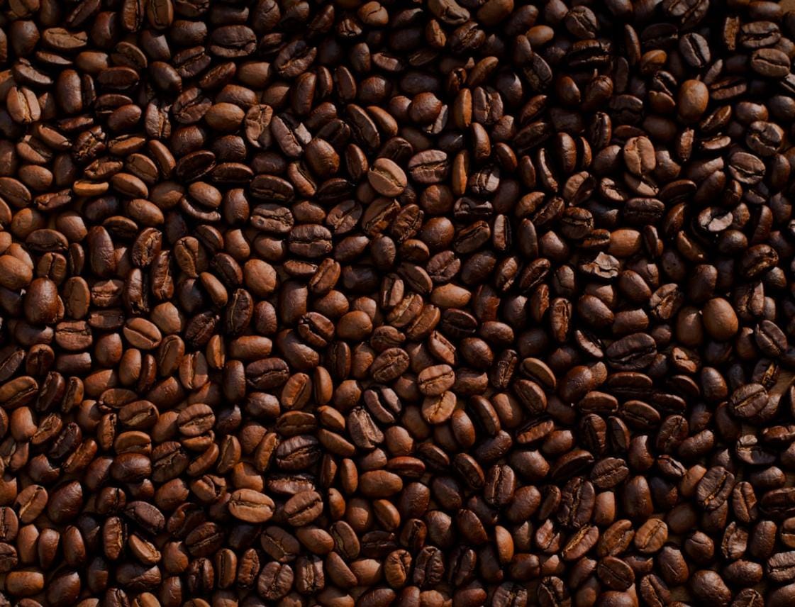 An assortment of freshly roasted coffee beans in containers, showcasing different roast levels